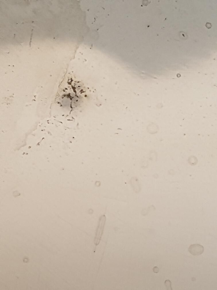 Louis XVI style silver metal tray