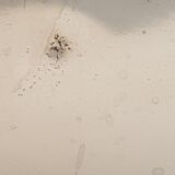 Louis XVI style silver metal tray