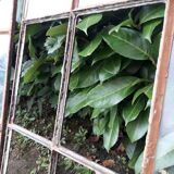 Industrial arched metal windows L73xH110 19th century glass roof