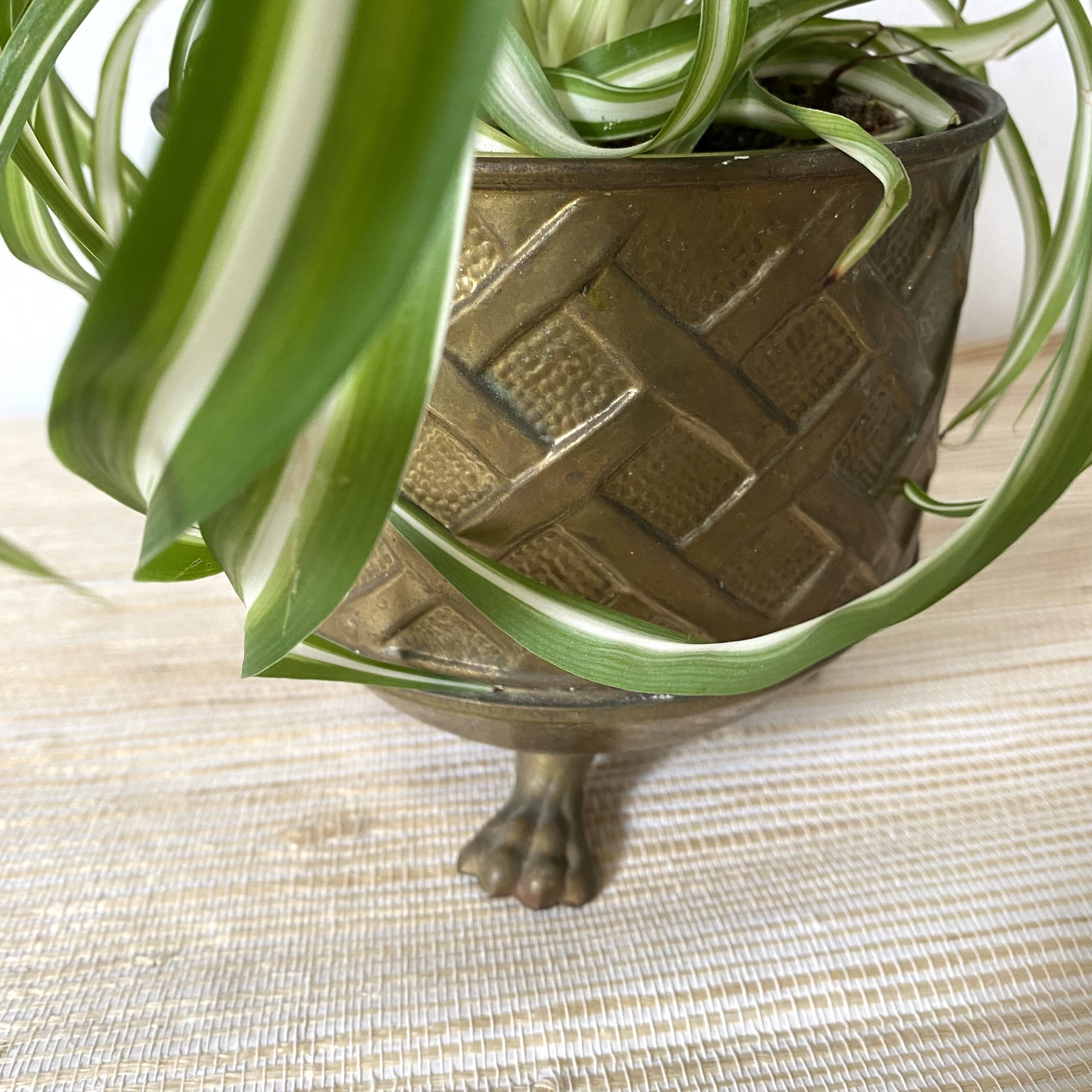 Lombard brass plant pot, Made in England