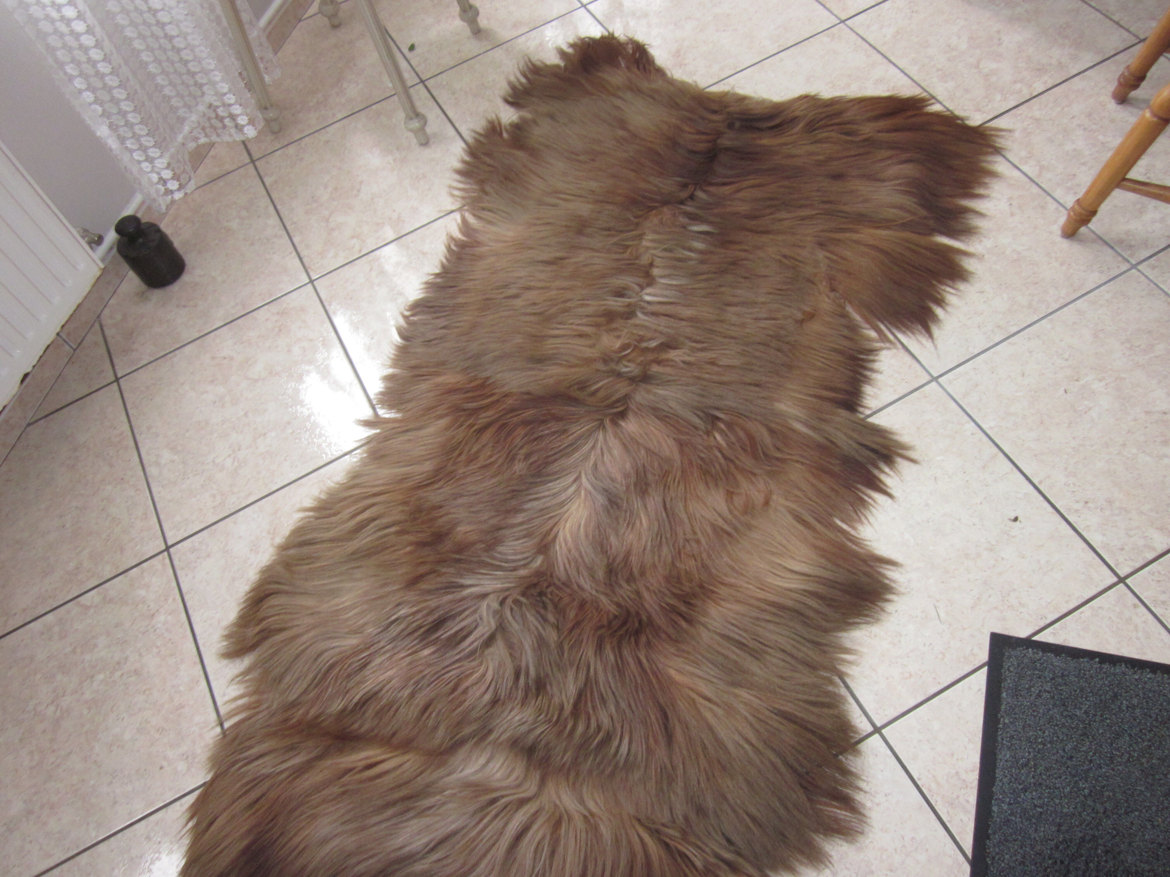 Long-haired haired hairskin carpet