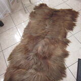 Long-haired haired hairskin carpet