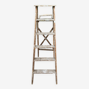 Ancient painter's stepladder