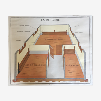 Tableaux de science : la bergerie et la porcherie