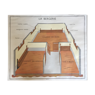 Tableaux de science : la bergerie et la porcherie