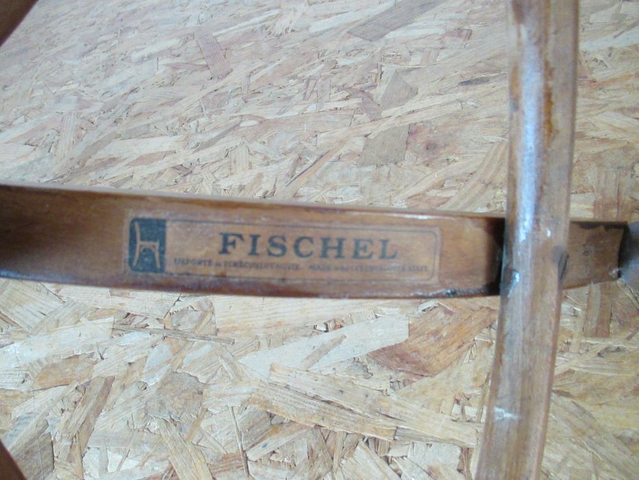 Fishel bistro parrot