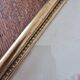 Antique botanical frame – “Carnation Variety” – Gilded wood