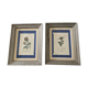 Ancient botanical plank frames