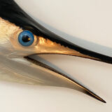 Sailing swordfish