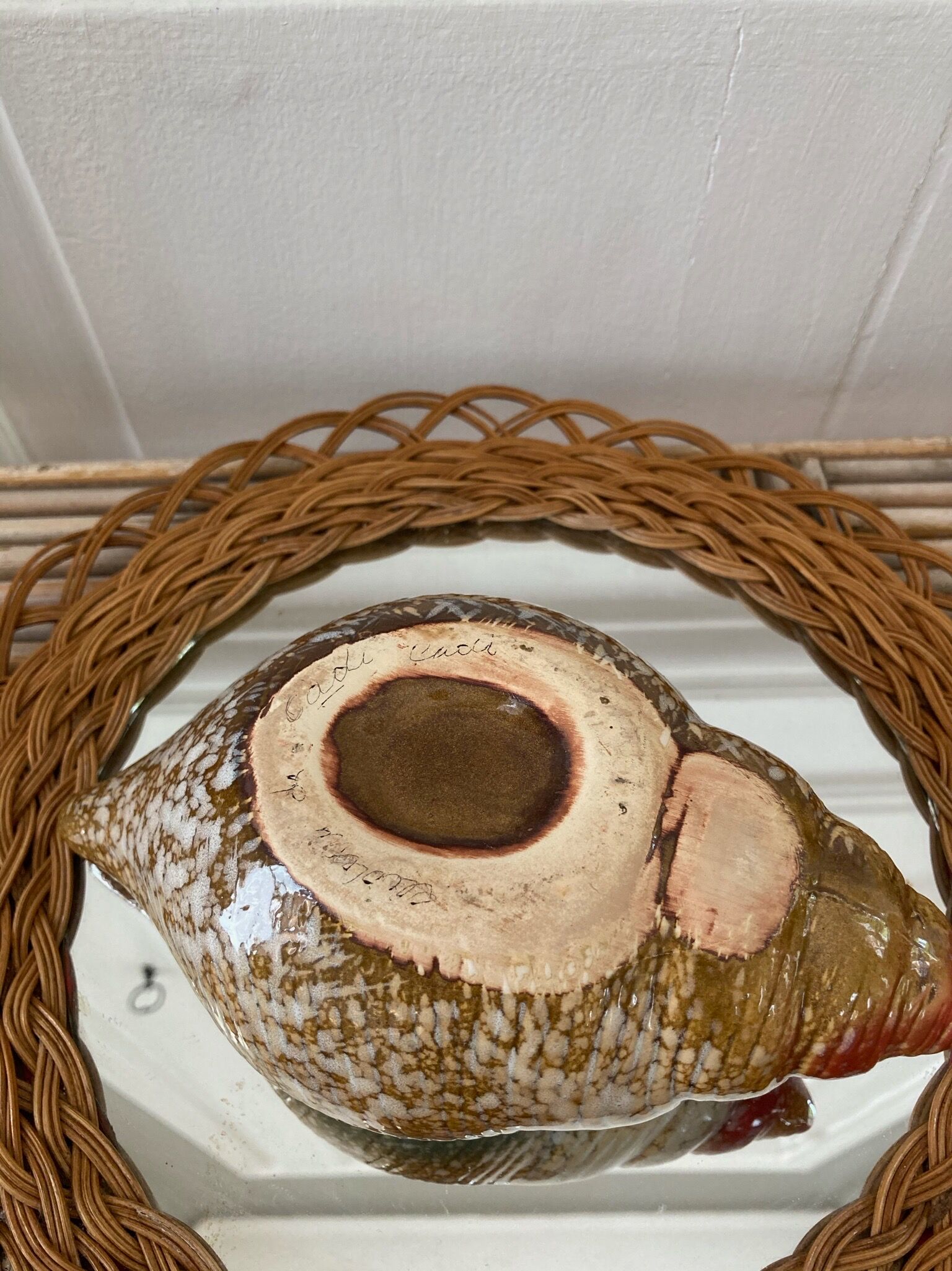 Vintage seashell ceramic