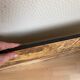 Large old photo, 70s, forest landscape - laminated