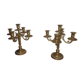 Pair of bronze chandelier with 5 branches