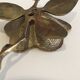 Brass "flower" candlestick
