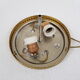 Gilded frame and glass globe ceiling lamp