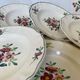6 old soup plates, Sarreguemines, Amazona model, 1910