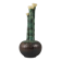 Arne Säfström, rare ceramic tulip vase, The Modern Scandinavian, mid-1900s
