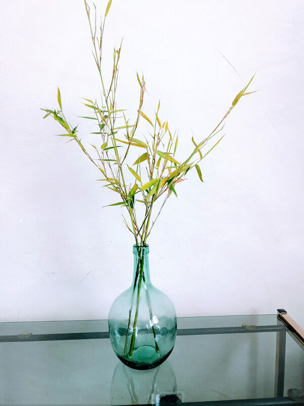 V.Ayelense 2-litre demijohn
