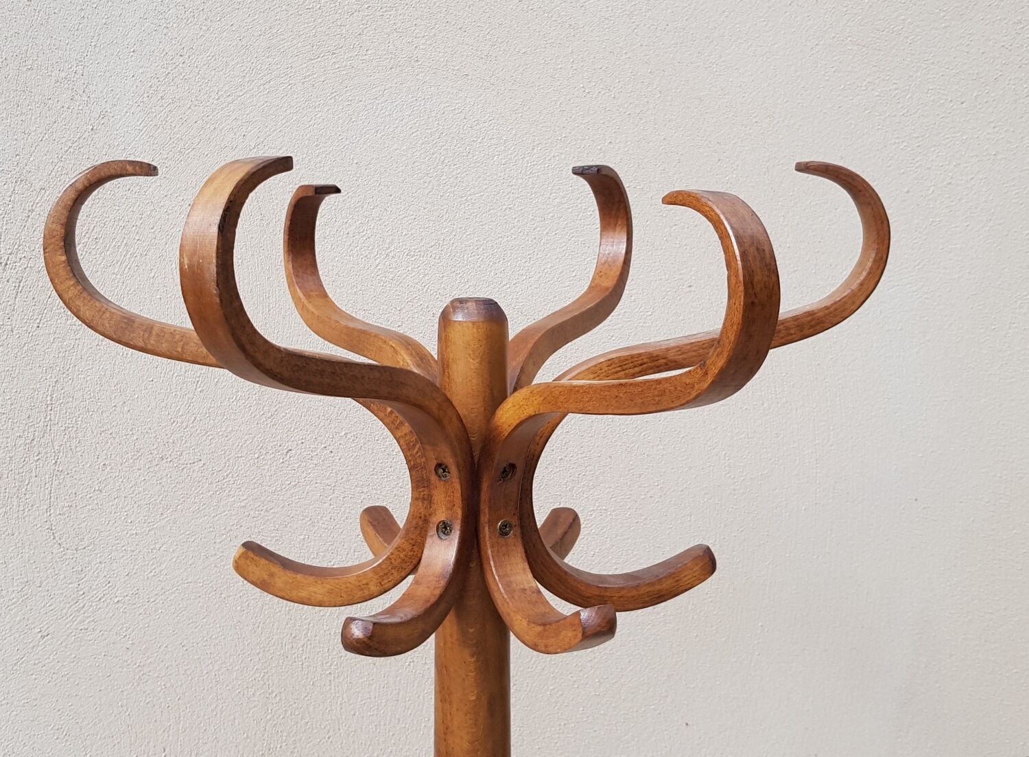 Coat rack roting parrot