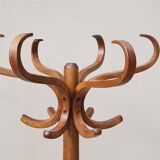 Coat rack roting parrot