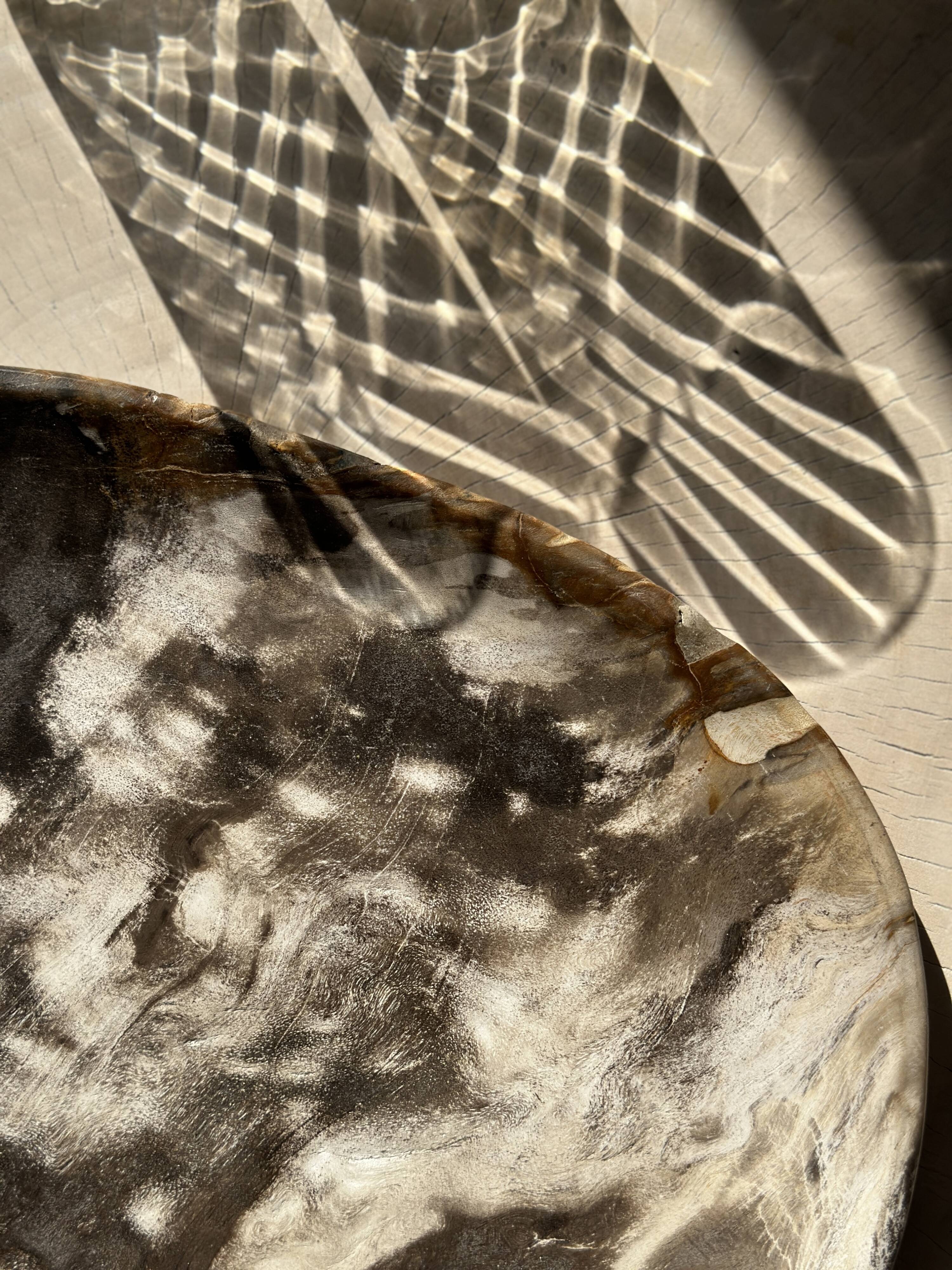 Very large empty pocket or dish in medium light petrified wood 1143