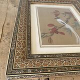 Ornithological painting, marquetry frame