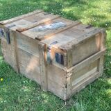 Trunk, natural wood box, very healthy