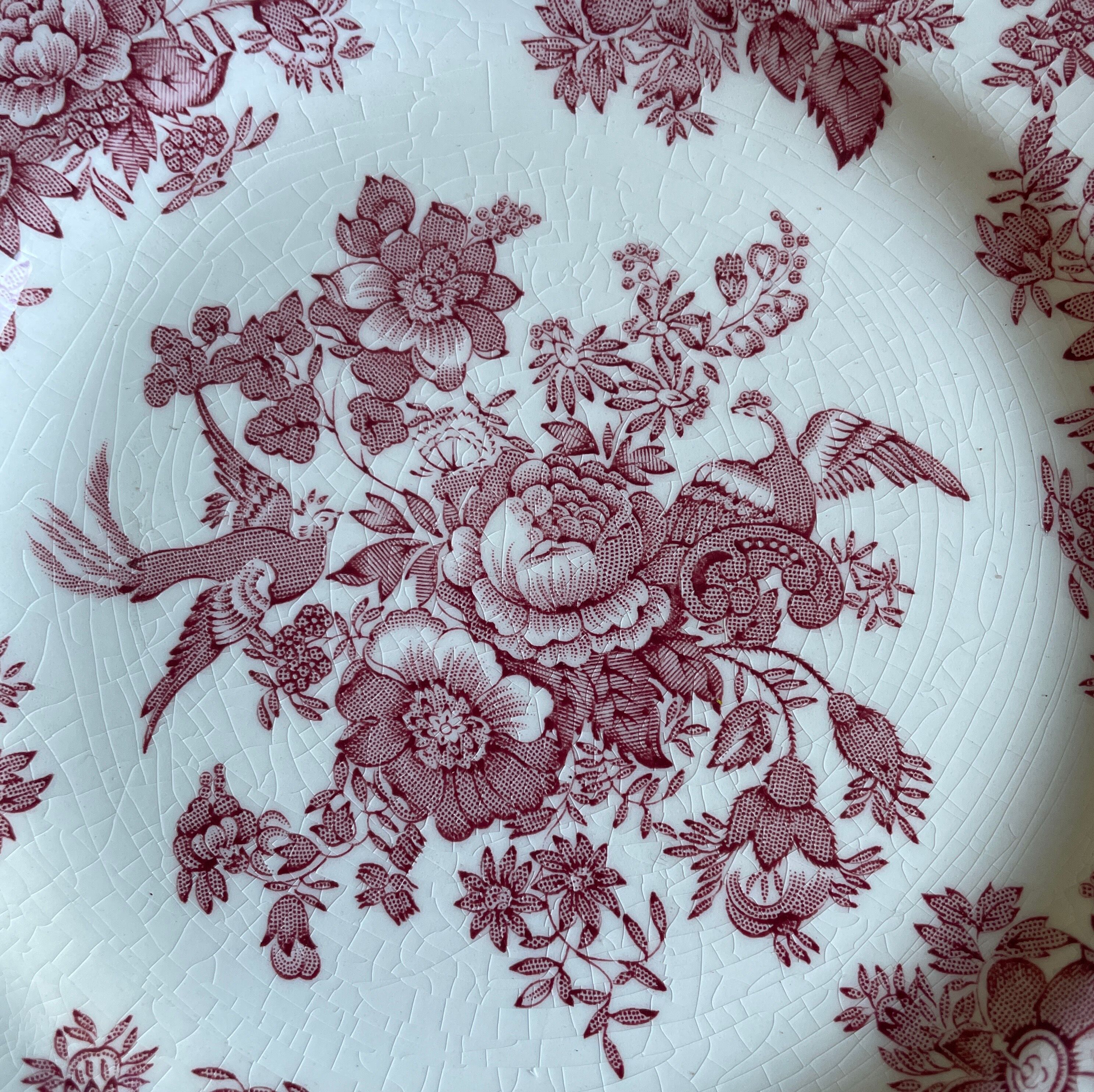 Lot de 8 assiettes faïence Wedgwood modèle faisan asiatique rose