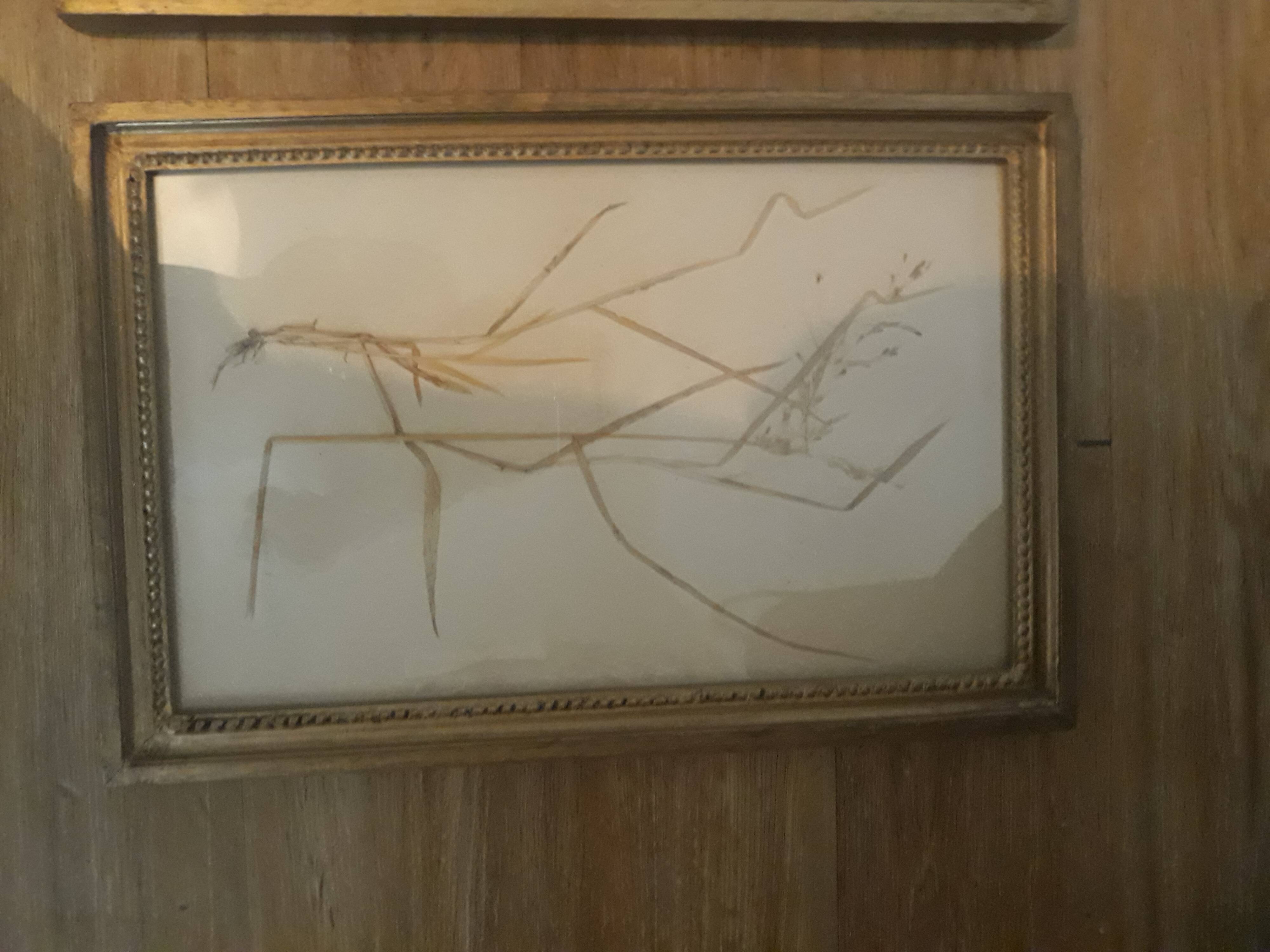 Series of 4 herbariums at the beginning of the century