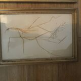 Series of 4 herbariums at the beginning of the century