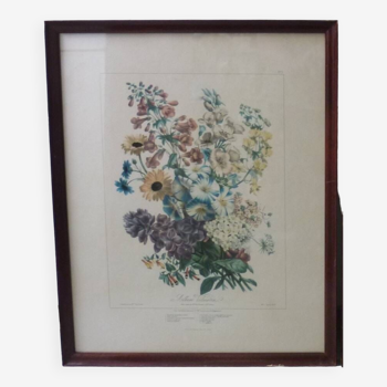 Framed Vilmorin lithograph, bouquet No 3, 1853, E. Champin