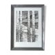 Les bouleaux, encre de chine