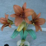 vintage wall lamps from the 20th century, metal, lily flowers