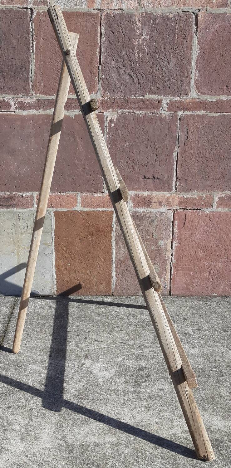 Folding ladder for olive trees. (Spain, 1940s/50s)