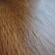 Table basse haricot vintage