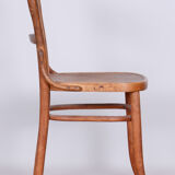 Original Art Deco Beech Chair, Fischel, Stable Construction, Czechia, 1920s