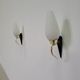 Pair of Arlus wall lights in brass, opaline and lacquered glass from the 1950s