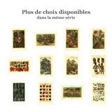 Botanical engraving from 1904 - Peaches and apricots - Orchard fruit plate