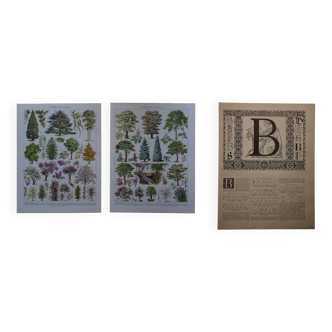 Lot de lithographies originales