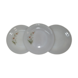 3 arcopal plates from 1970