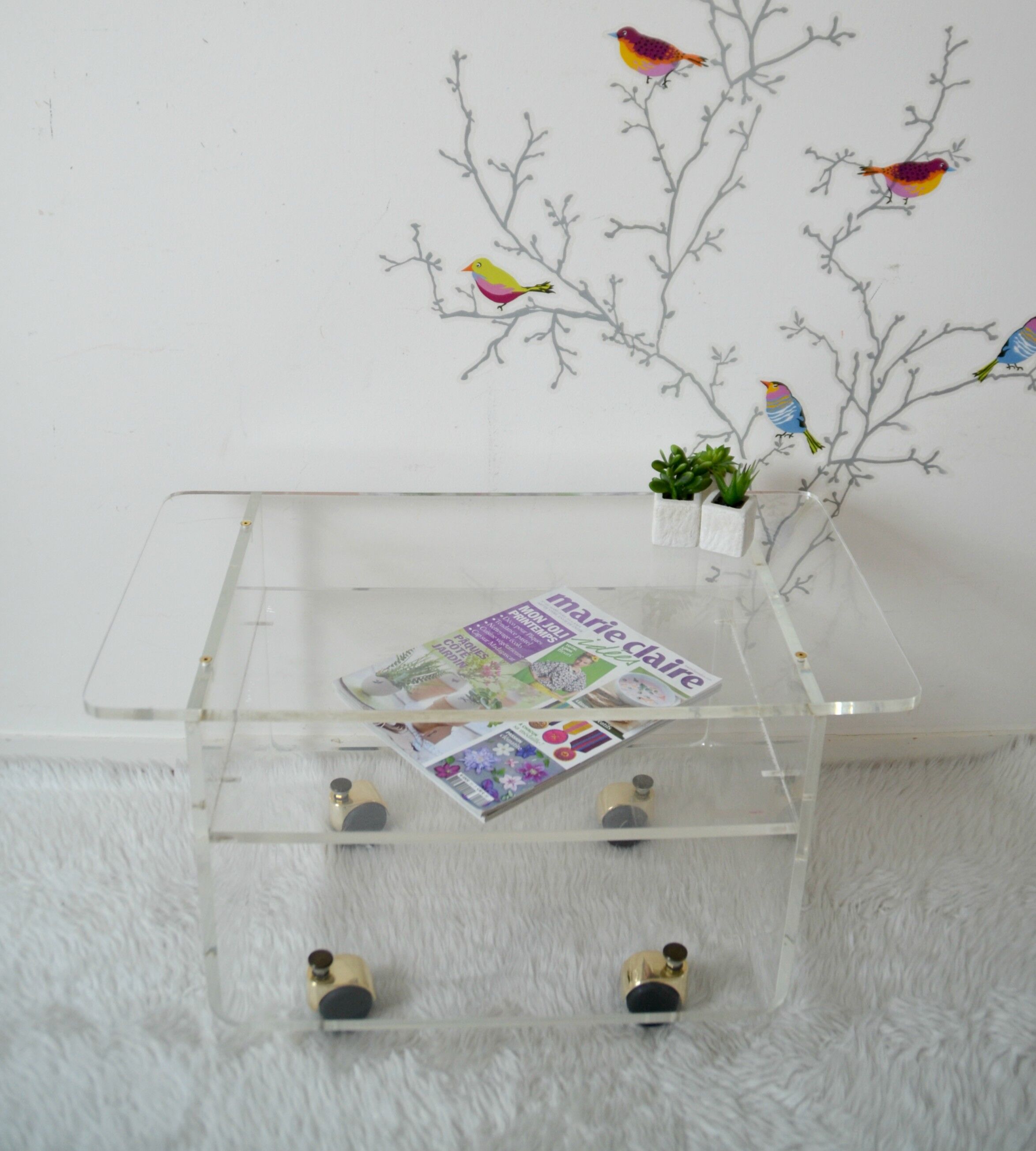 The swamp invisible Plexiglas side table