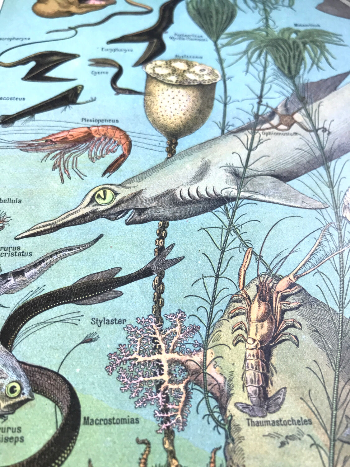 Original oceanographer board