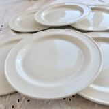 6 vintage porcelain dessert plates Steelite – Made in England