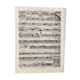 Former illustration Larousse "Swimming"
