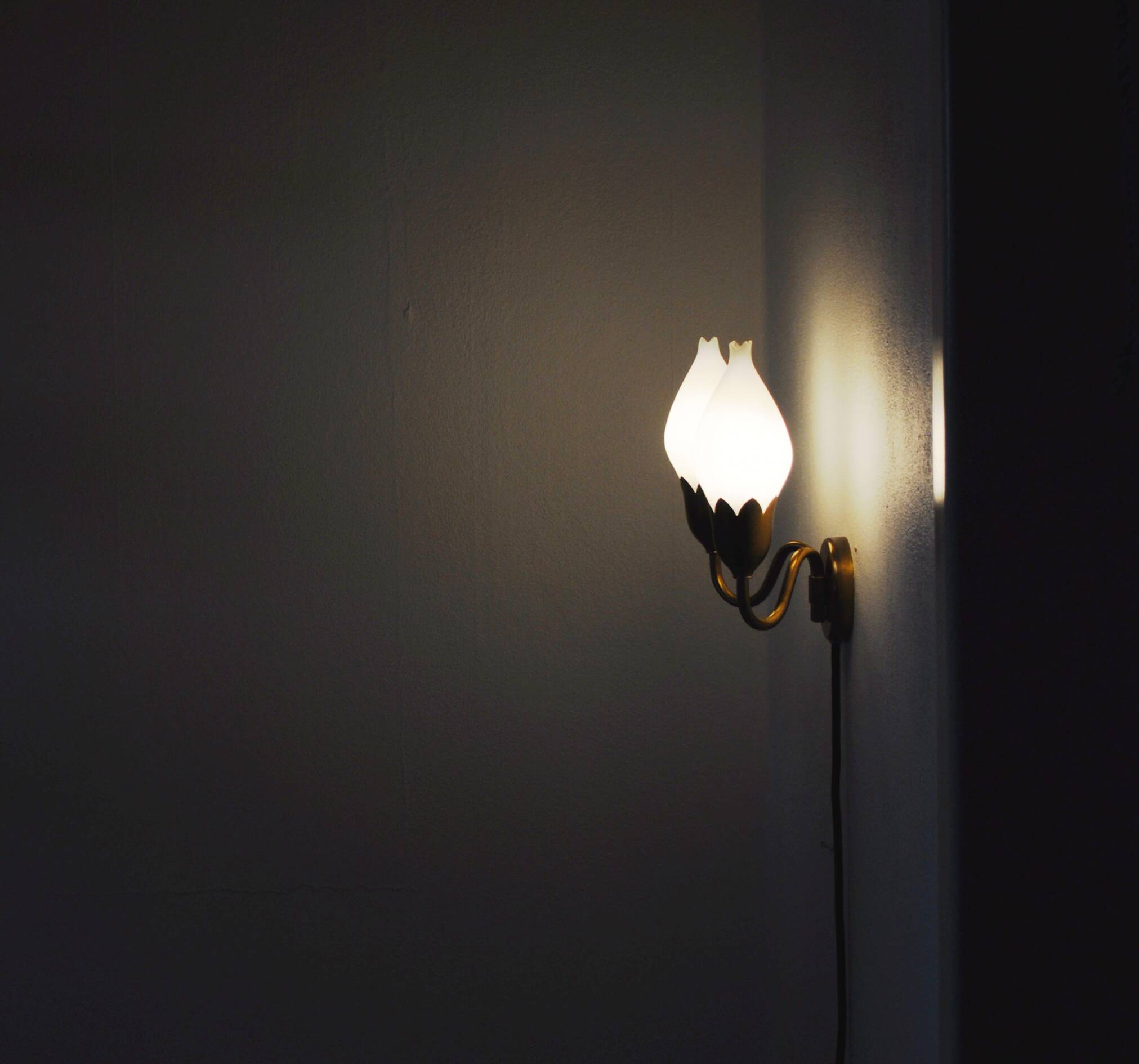 Fog & Mørup 2-Arm Brass and Opaline Glass Tulip Wall Lamp