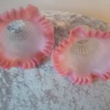 Duo of chandelier tulips or lamp in two-tone opaline