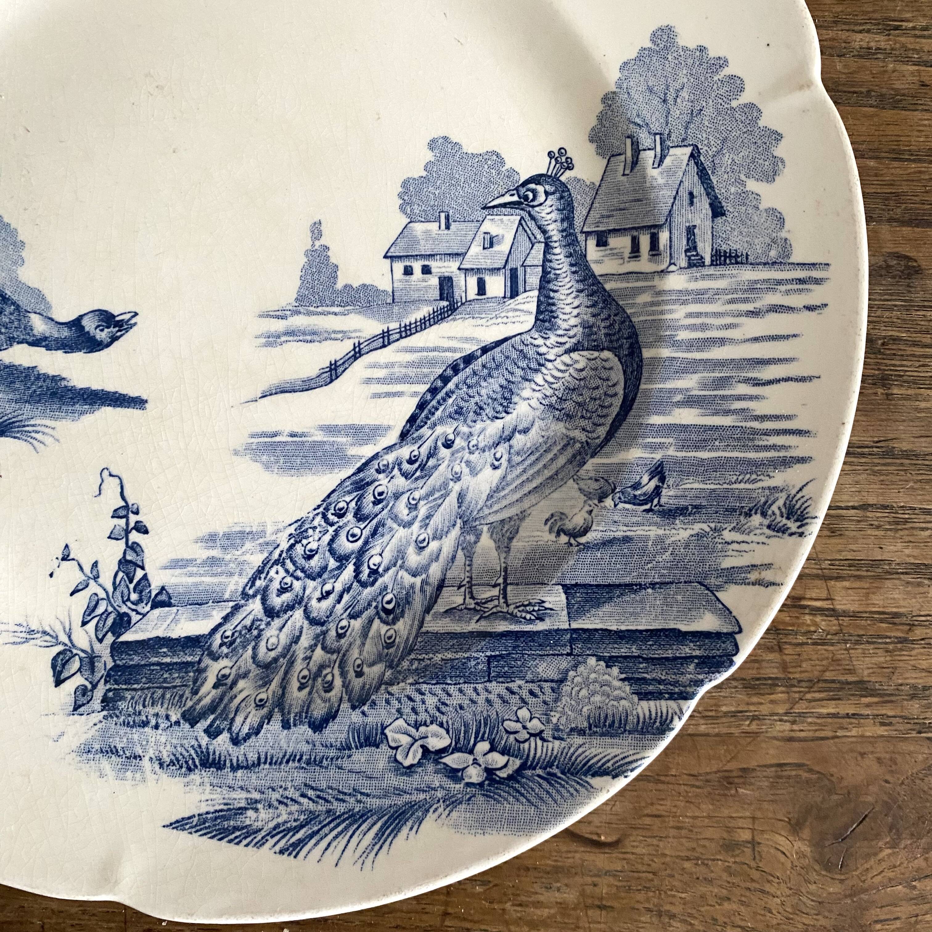 Assiette terre de fer "Rustic" paon