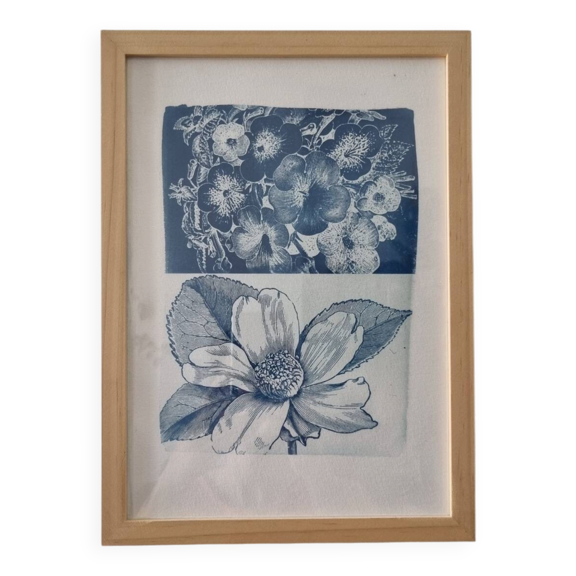 Framed botanical cyanotype wall decor