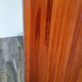 Screen the 1950s NSH