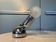 Pollux Lamp Ingo Maurer
