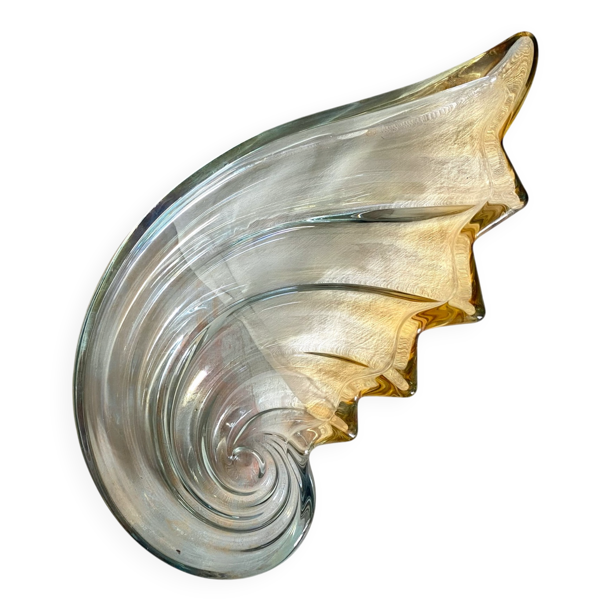 Nautilus shell catch-all 34 cm